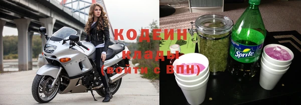 сатива Покачи