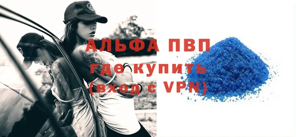 сатива Покачи