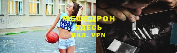 сатива Покачи