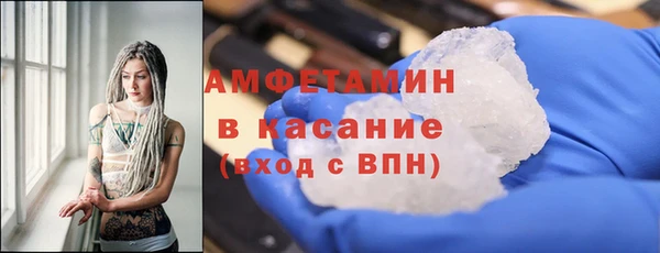 сатива Покачи