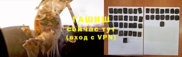 сатива Покачи