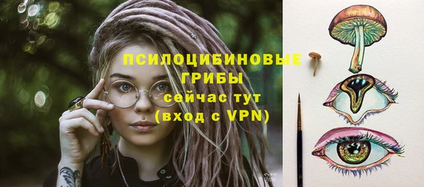 Альфа ПВП Пестово