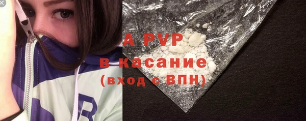 сатива Покачи