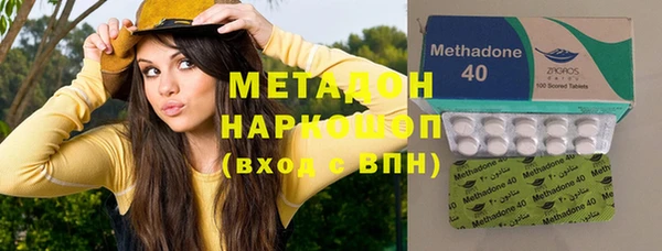 сатива Покачи
