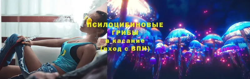 Псилоцибиновые грибы Magic Shrooms  Межгорье 