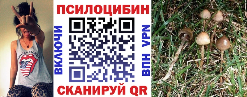 Псилоцибиновые грибы MAGIC MUSHROOMS Межгорье
